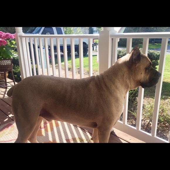 Meet Your Posher - Picture 6 of 10